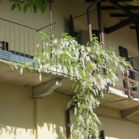 Il Lavatoio Belgirate